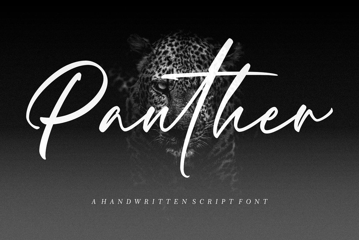 Panther Font Free Font